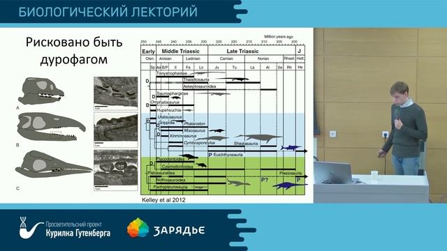 Морские чудовища эры динозавров – Николай Зверьков