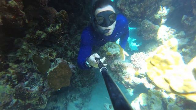 Снорклинг в Египте ч.4 \ Egypt freediving part 4 (snorkeling & apnoea and diving)