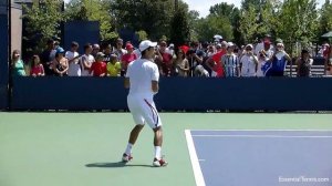 Novak Djokovic Forehands and Backhands in HD