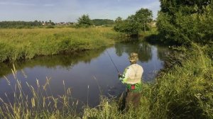 Река Шерна, Россия. По высокой воде и неактивному хищнику. Щука, окунь. 2017/07