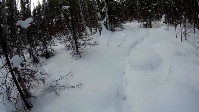 Промысел.жизнь в тайге.Одиннадцатая часть. Hunting For Traps, Life In The Taiga