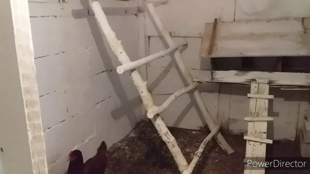 ✔ЗЕРНОСМЕСЬ для КУР НЕСУШЕК!//ЦЕНА на КОРМА!//Яйценоскость Кур!//Своё Хозяйство❗//Переезд на Юг.