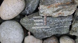 песня "камень🗿"