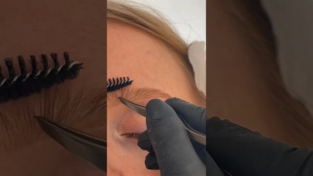 Ты обязана это знать ?? #брови #brows #обучение #курсыбровистов #онлайнобучение