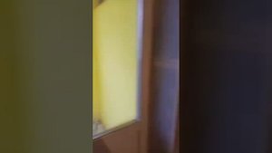 Подготовка стен к покраске