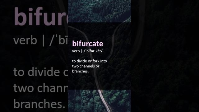 bifurcate (v.) - to divide or fork into two channels or branches. #WordOfTheDay #English #vocabular