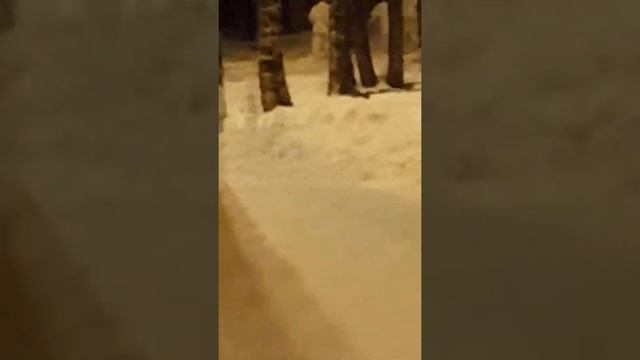 Как закаляются маленькие каратисты.