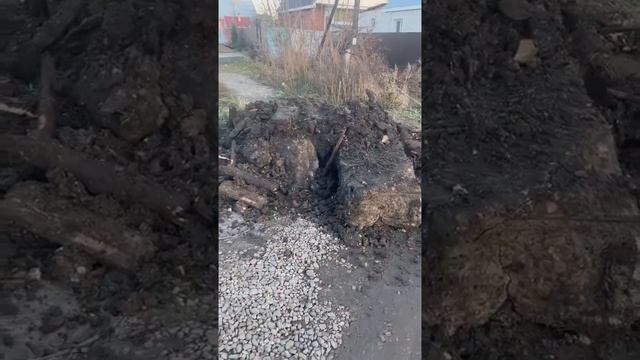 Из разряда - И так сойдет... #петропавловск