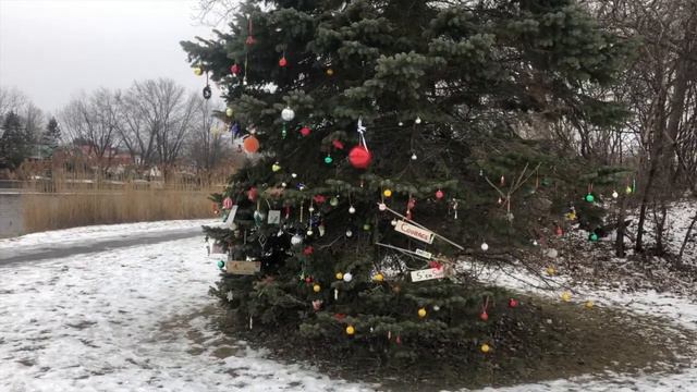 O Holy Night (violin cover) смотреть онлайн