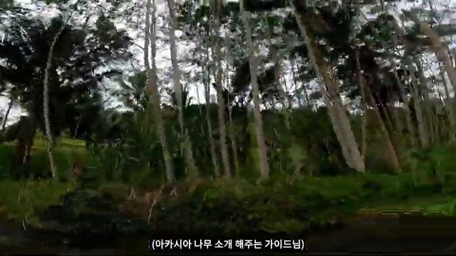 인도네시아 발리 뜨라가와자 강 래프팅 약 3시간!! - 인도네시아 발리, 세계여행 [51]