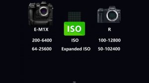 Olympus OM-D E-M1X vs Canon EOS R