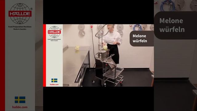 Овощерезка HALLDE для нарезки дыни, картофеля фри и клубники кубиком_ROVABO смотреть онлайн