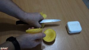 Как сохранить мотыля до следующей рыбалки.