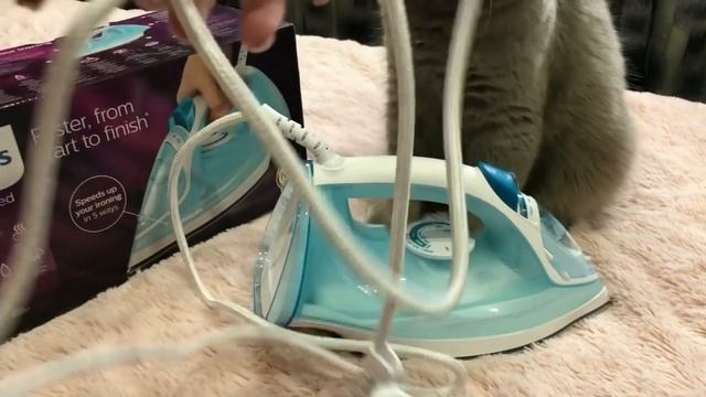 Волосы растут прямо на глазах/Закупка продуктов на месяц/Новый утюг смотреть онлайн