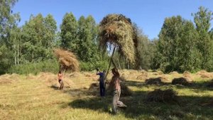 Жаркая пора сенокоса или как мы убираем сено.
