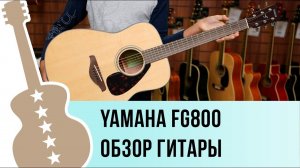 Yamaha FG800 Обзор акустической гитары