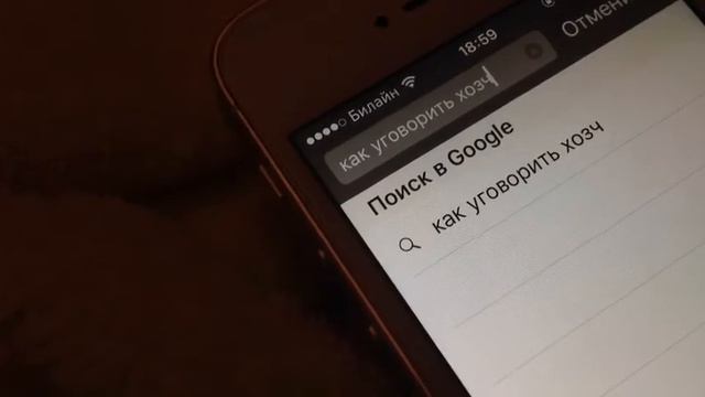 О ЧЕМ ДУМАЮТ ЙОРКИ?