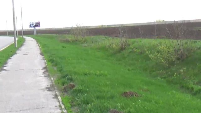 белгородская обл куда можно съездить в белгородской области ориентирование в белгороде