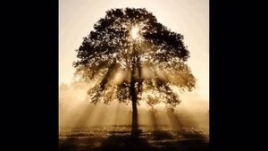 Направив посох на старика