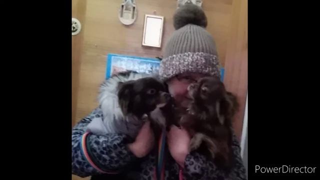 #читаетавтор #стихи #вэтомдомикезеленом Домик, подаренный другу, стал домиком моей мечты смотреть онлайн