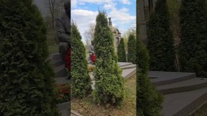 РАДОНИЦА! РИТУАЛЫ НА НИКОЛЬСКОМ КЛАДБИЩЕ СПБ