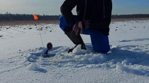 Зимняя рыбалка на Ладоге. д.ЧЁРНОЕ, 6 МАРТА