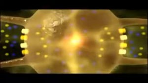 Синапс, функции и строение.