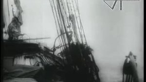 Русская Арктика