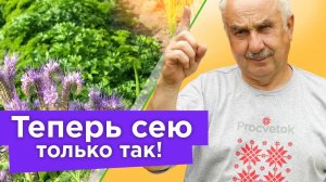 ПОЧВА КАК НОВЕНЬКАЯ: БЕЗ СОРНЯКОВ, БОЛЕЗНЕЙ И ВРЕДИТЕЛЕЙ, если посеять сидераты именно так!