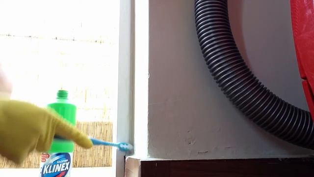 Плесень. Как избавиться от плесени смотреть онлайн