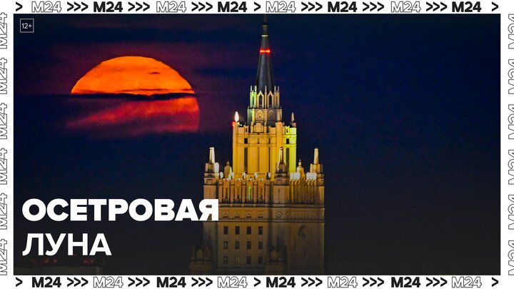 Москвичам рассказали, когда ждать пик суперлуния - Москва 24