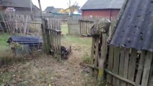 Посадка на зиму укропа редиски сельдерея
