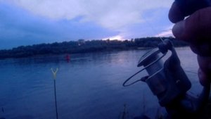 РЫБАЛКА на ОКЕ#27.Ловля на фидер под Серпуховым.Бешеный клёв.Подлещики на кормушку.Хищник на живца.