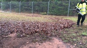Husqvarna 570BTS - blowing wet leafs