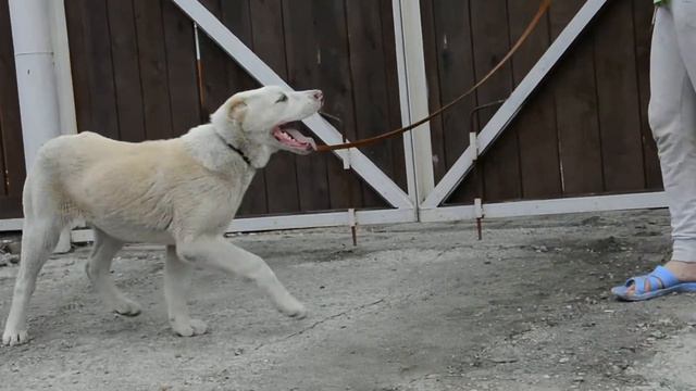 ОЕССЕНН СТИЛЬ Леди 6 мес смотреть онлайн