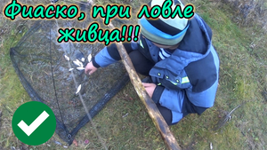 Фиаско на рыбалке!) Как правильно ловить живца, на малявочницу! Верный, и не очень способ!!!)))