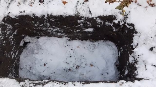 Посадка винограда в ямы.Форма,размеры,содержание. смотреть онлайн