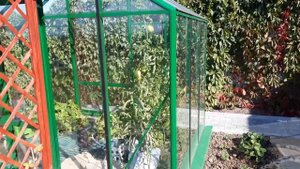 Зеленая Теплица Ботаник. www.72теплицы.рф