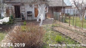 27.04.2019  ЛОВЧИЙ ПОЯС ДЛЯ ПЛОДОВОГО ДЕРЕВА.  КАК ПРАВИЛЬНО ЗАКРЕПИТЬ.