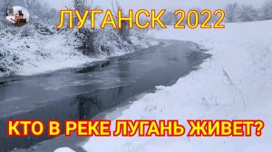 Луганск 2022. Кто в реке Лугань живет?