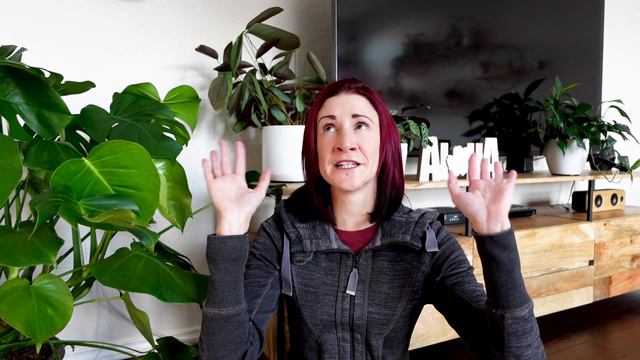 10 Shady Houseplant Community Things That Drive Me CRAZY! | HouseplanTEA Ranty Ep. 1 | PlanTEA смотреть онлайн