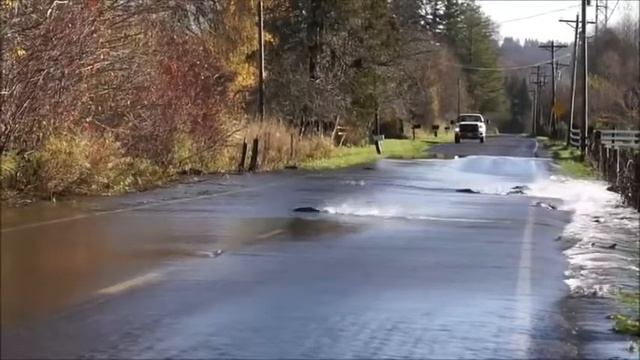 Я — РАДУЖНАЯ ФОРЕЛЬ смотреть онлайн