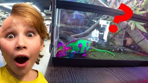 Сбрил волосы Чем питается Игуана ЗАКОНЧИЛИ РЕМОНТ Семейный влог Супер Фэмили