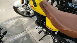 Мотоцикл Motoland "V-Raptor 250"//SkyTeam V-raptor 250//Suzuki VanVan 200
