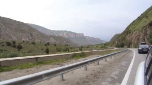 Кавказ день 2-й.  Коровы на дороге.