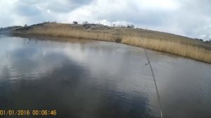 TM ‘’ Simov’’ ловля голавля на майского жука