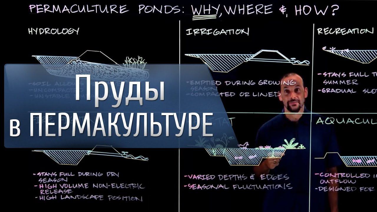 Пруды в ПЕРМАКУЛЬТУРЕ!