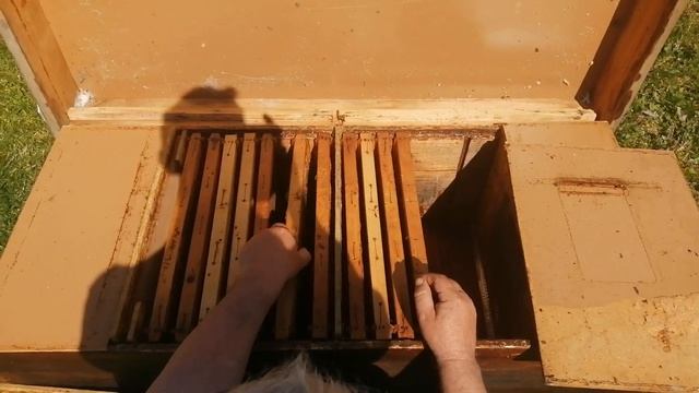 Dvomaticna poloska 3.deo смотреть онлайн