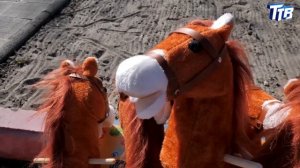 Хоббихорсингом занялись дошколята