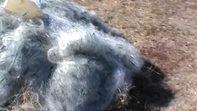 Изъятие лодок, уничтожение сетей, незаконная рыбная ловля, ВКО смотреть онлайн